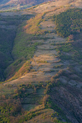 Closed landscape photo of a hilly area. Mountains can be seen in the background. The photo is dominated by green and brown colors.
