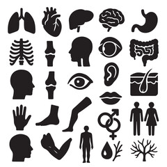 Collection of black silhouette icons representing human anatomy and body parts