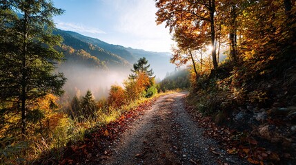 Sunlight shines through golden autumn trees along a mountain forest path covered with fallen leaves. Scenic landscape . Fall , travel, nature background