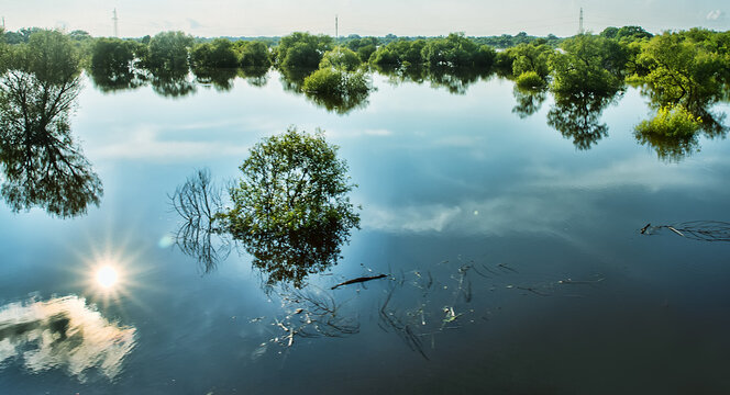 The Ussuri River. View from the bridge to the river. River front. Summer flooding due to continuous-rains, forest flooding