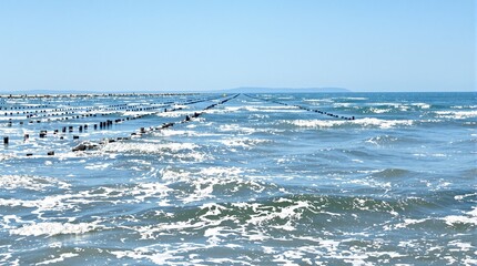 Waves crash around wooden pilings extending into the blue sea.