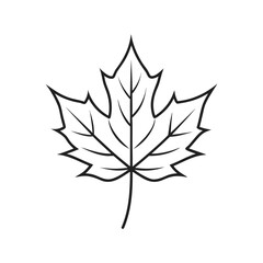 Autumn maple leaf illustration in black and white simple design