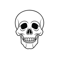 human skull vector line art on white background