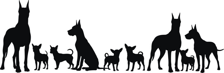 Silhouette of large and small dogs, Great Dane and Chihuahua, standing and sitting, dog breed comparison, black vector pet illustration, isolated animal shape
