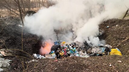 the garbage was dumped into a pit and set on fire. Wrong, harmful to nature and people - toxic smoke, live branches are burning.