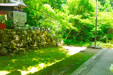 柳谷観音楊谷寺の花手水