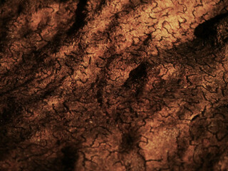 ceiling of a cave with natural pattern in warm light