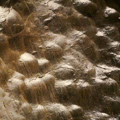 formation of a round smooth limestone wall illuminated by warm light