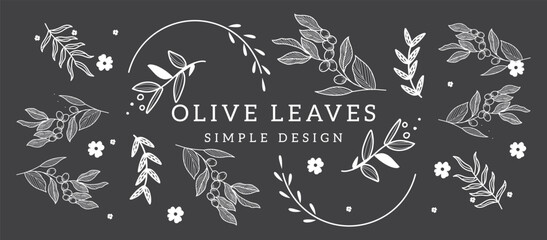 Hand-drawn olive branch with fruits and leaves in engraving style
