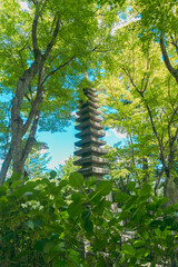 Fototapeta premium 柳谷観音楊谷寺の花手水
