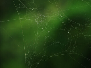 aged broken spider web of thin lines with green dark background