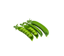 A fresh pile of vibrant green pea pods isolated on a transparent background, perfect for promoting healthy, plant-based ingredients and vegetarian food lifestyle visuals in high resolution.

