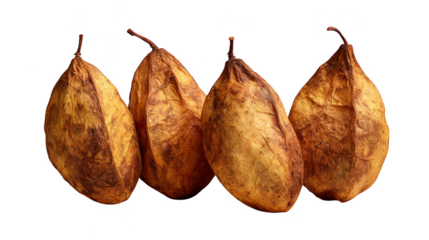 Four dried, papery brown seed pods or husks, possibly from a tree or plant, with distinct pointed ends, isolated on a white background.