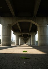 Concrete highway underpass with a solitary leaf