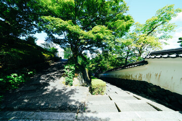 京都の善峯寺の風景