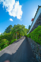 京都の善峯寺の風景