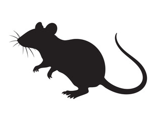 Black vector animal silhouette of mouse
