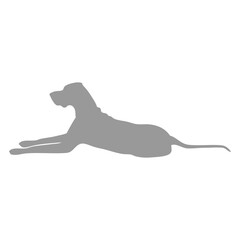 dog icon shadow_1