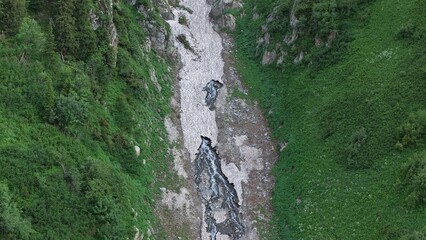 Melting glacier water flowing between green mountain slopes with coniferous forest forming a small stream, aerial view of climate change effect on high altitude environment