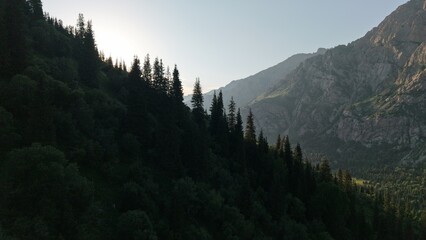 Warm sunlight illuminates a tranquil mountain valley, casting long shadows on a dense coniferous forest covering the slopes, creating a serene and picturesque landscape
