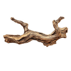 Fototapeta premium Unique twisted driftwood piece for home decor or garden display in natural wood tones and textures