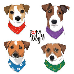 Hand-drawn set with cute Jack Russell Terrier dogs with a scarf around their neck in sketch style.