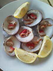 Plato de conchas finas