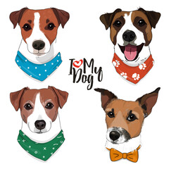 Hand-drawn set with cute Jack Russell Terrier dogs with bandana around their neck in sketch style.