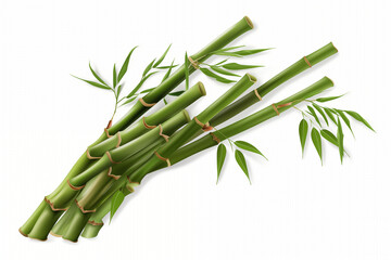 Fototapeta premium Bamboo stalks isolated on white background
