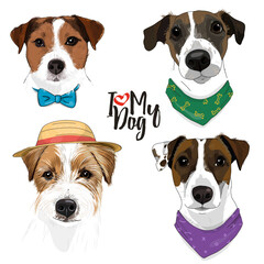 Hand-drawn set with cute Jack Russell Terrier dogs with bandanas around their necks and wearing a hat in sketch style.