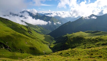 Lush mountain valley landscape