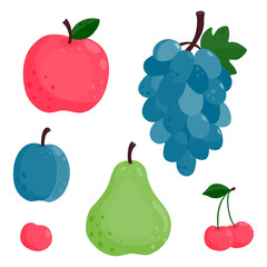 Set of ripe juicy fruits. Apple, pear, grape, plum, cherry.