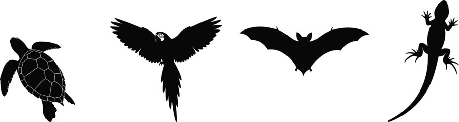 Cad drawing flat vector illustration of turtle bird bat and lizard silhouettes, black white minimal artwork, animal diversity concept
