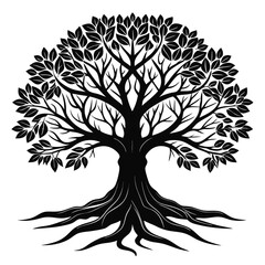 Obraz premium Stylized silhouette of a mature deciduous tree