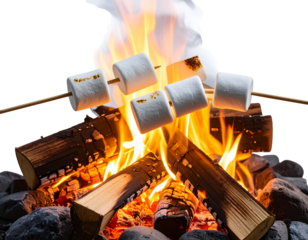 fire in the fireplace