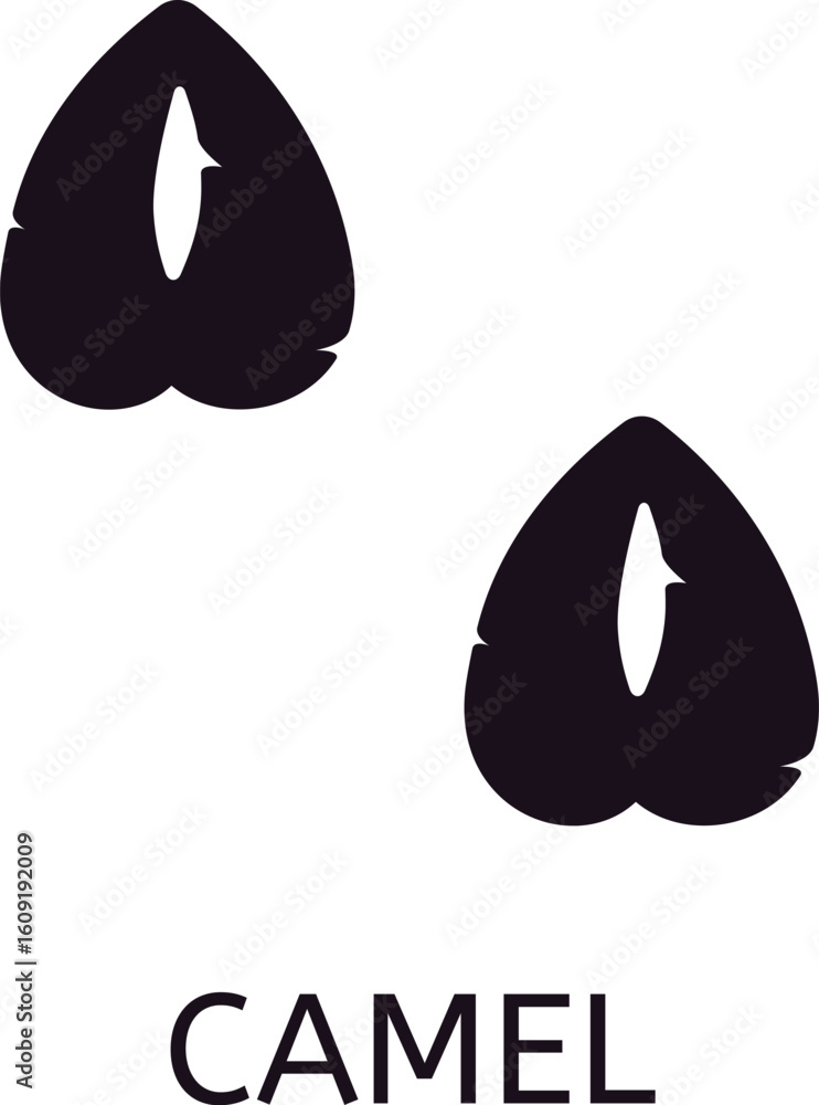 Poster camel paw print showing even toed ungulate with two toes consisting of broad, leathery pads for walk
