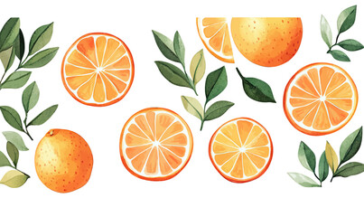 Watercolor illustrations of fresh orange slices and whole citrus fruits with green leaves isolated on white background in minimalist style vector clipart for healthy food design