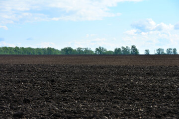 Tilled field under a bright blue sky with forest on the horizon