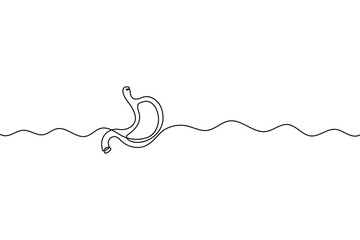 Human stomach organ one line drawing in minimalist medical outline vector illustration style
