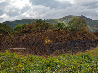Fire damaged country side. Lush green landscape meets charred earth under dramatic cloudy skies.