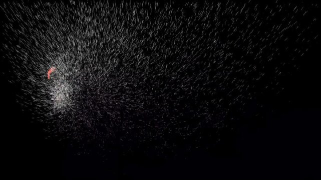 Thank you for watching text motion graphics animation on the black background for closing the greeting on your video. Seamless motion animated 4K quality background.