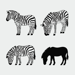 Four zebra illustrations black and white zebras animal