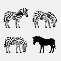 Four zebras black and white illustrations animal wildlife 1