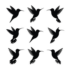 Obraz premium Nine black hummingbird silhouettes in flight flying 1