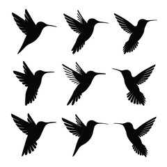 Obraz premium Nine black hummingbird silhouettes in flight flying 4