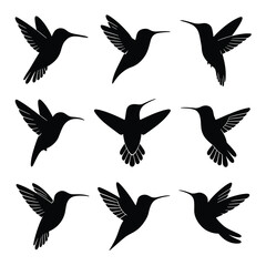 Obraz premium Nine Black Hummingbird Silhouettes in Various Flying Poses 1
