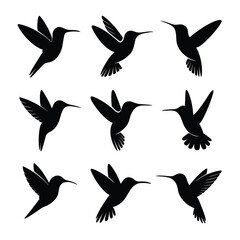Obraz premium Nine black hummingbird silhouettes in various flying poses