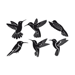 Obraz premium Six stylized black hummingbirds in flight and perched 1