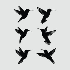 Obraz premium Six stylized black hummingbirds in flight on a light gray background