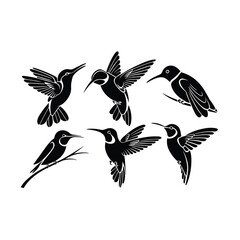 Obraz premium Six stylized black hummingbirds in various poses flying
